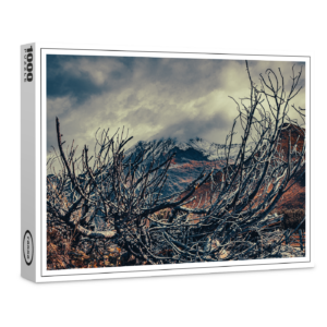 raxxa Premium-Puzzle: Verwurzelt