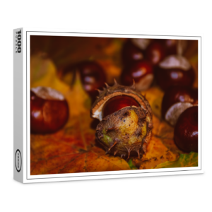 raxxa Premium-Puzzle: Neues Bild