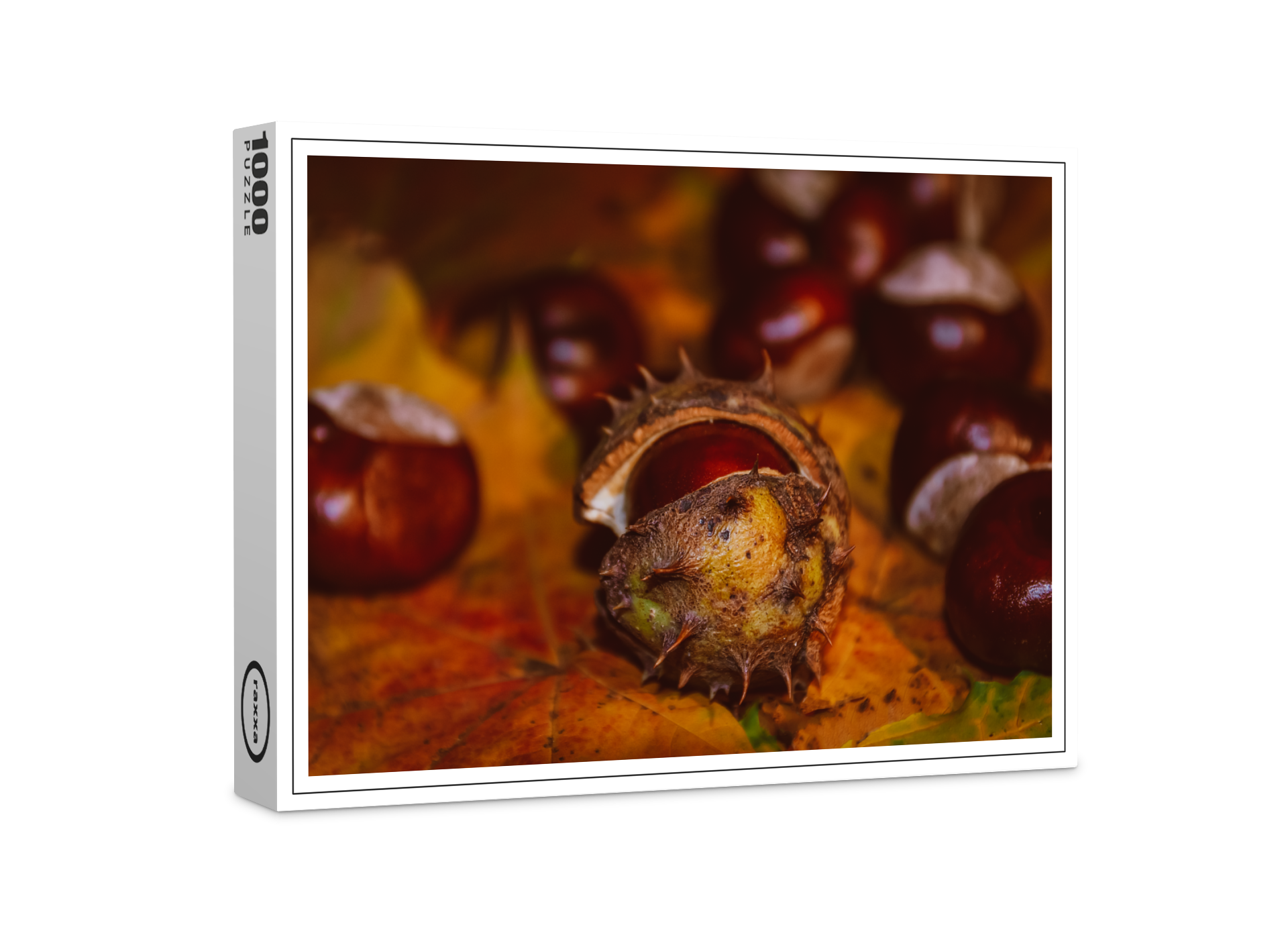 raxxa Premium-Puzzle: Neues Bild